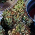 What is the difference between delta 9 thc carts and other cannabis products?